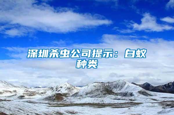 深圳殺蟲公司提示：白蟻種類