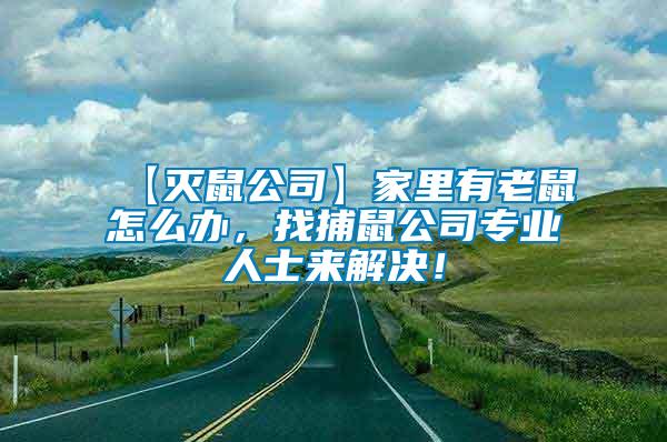 【滅鼠公司】家里有老鼠怎么辦，找捕鼠公司專業(yè)人士來解決！