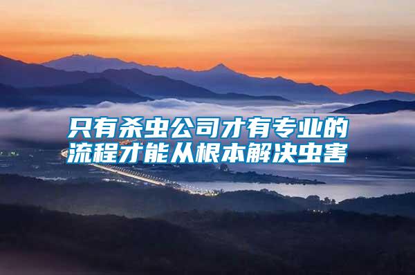 只有殺蟲公司才有專業(yè)的流程才能從根本解決蟲害