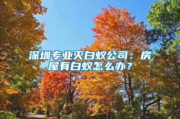 深圳專業(yè)滅白蟻公司：房屋有白蟻怎么辦？