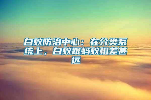 白蟻防治中心：在分類系統(tǒng)上，白蟻跟螞蟻相差甚遠(yuǎn)