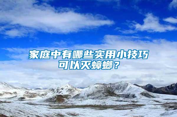 家庭中有哪些實用小技巧可以滅蟑螂？