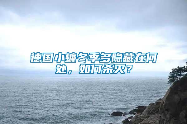 德國小蠊冬季多隱藏在何處，如何殺滅？