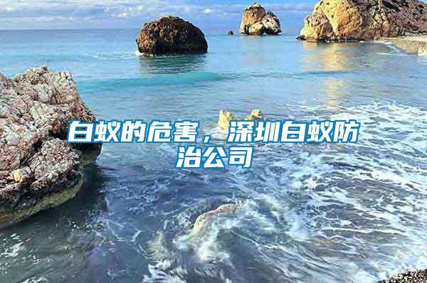 白蟻的危害，深圳白蟻防治公司