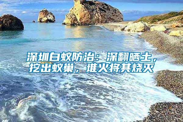 深圳白蟻防治：深翻曬土，挖出蟻巢，堆火將其燒滅