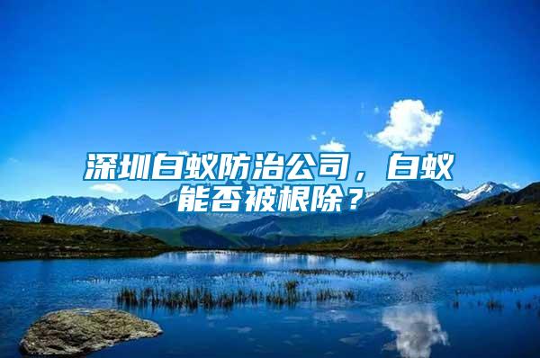 深圳白蟻防治公司，白蟻能否被根除？