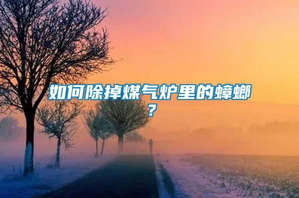 如何除掉煤氣爐里的蟑螂？