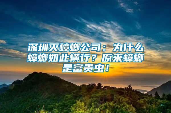 深圳滅蟑螂公司：為什么蟑螂如此橫行？原來蟑螂是富貴蟲！