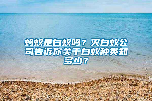 螞蟻是白蟻嗎？滅白蟻公司告訴你關(guān)于白蟻種類知多少？