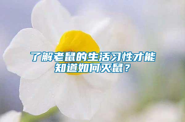 了解老鼠的生活習(xí)性才能知道如何滅鼠？