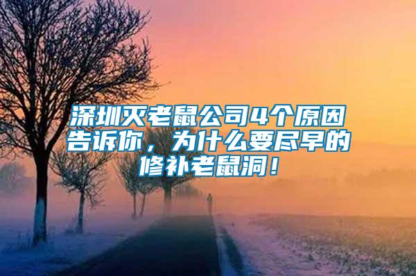 深圳滅老鼠公司4個原因告訴你，為什么要盡早的修補老鼠洞！