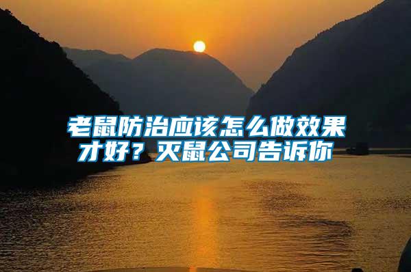 老鼠防治應(yīng)該怎么做效果才好？滅鼠公司告訴你