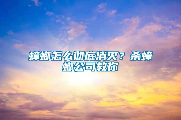 蟑螂怎么徹底消滅？殺蟑螂公司教你