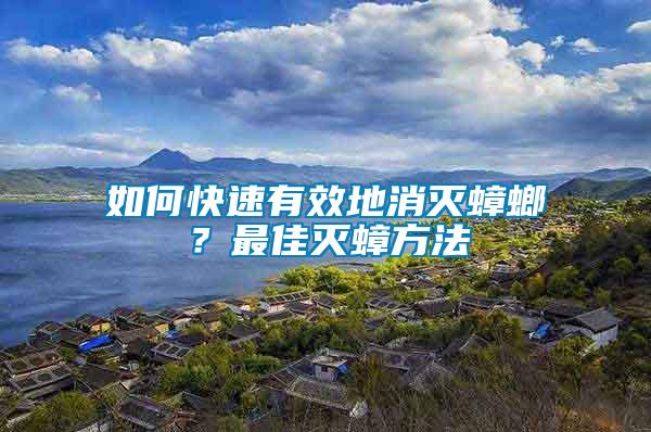 如何快速有效地消滅蟑螂？最佳滅蟑方法