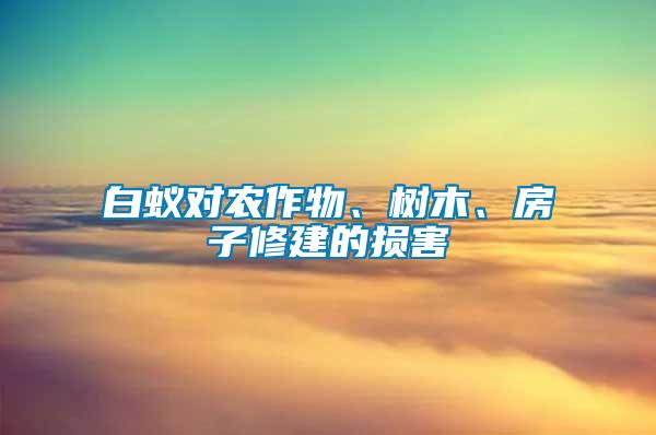 白蟻對農(nóng)作物、樹木、房子修建的損害