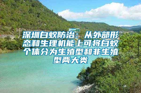 深圳白蟻防治：從外部形態(tài)和生理機(jī)能上可將白蟻個(gè)體分為生殖型和非生殖型兩大類