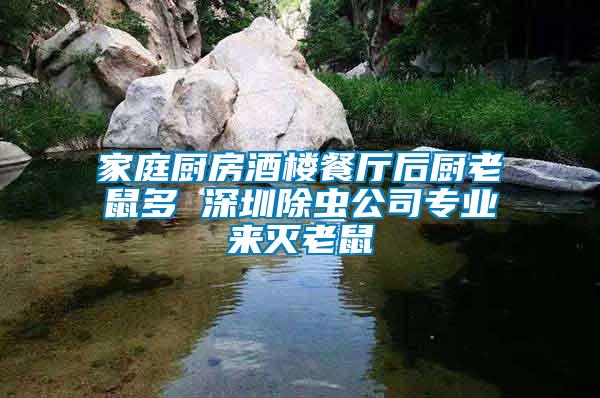 家庭廚房酒樓餐廳后廚老鼠多 深圳除蟲公司專業(yè)來(lái)滅老鼠