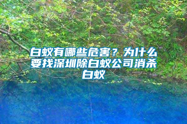 白蟻有哪些危害？為什么要找深圳除白蟻公司消殺白蟻