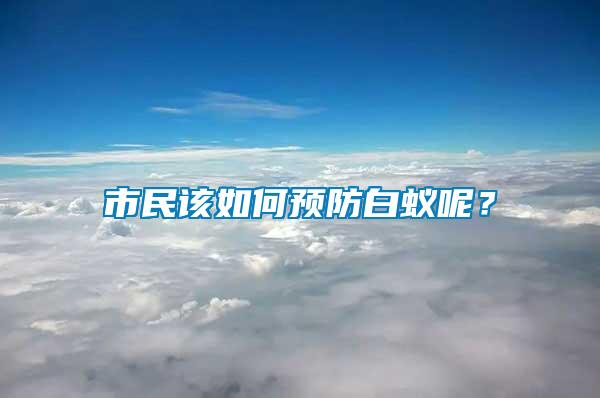 市民該如何預(yù)防白蟻呢？