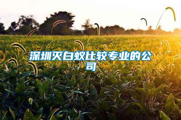 深圳滅白蟻比較專業(yè)的公司