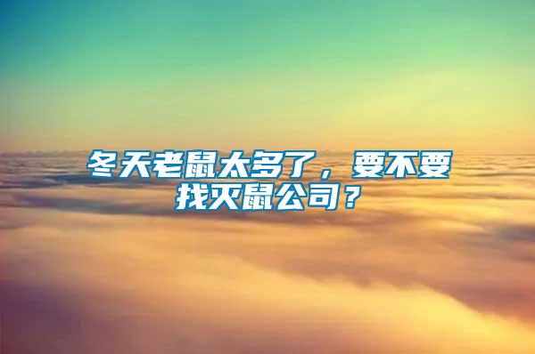 冬天老鼠太多了，要不要找滅鼠公司？