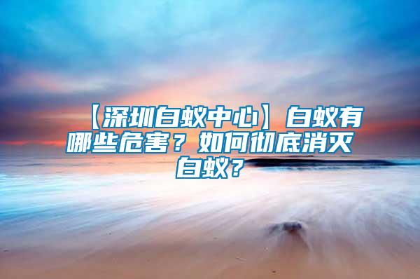 【深圳白蟻中心】白蟻有哪些危害？如何徹底消滅白蟻？