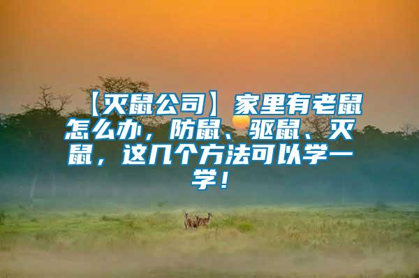 【滅鼠公司】家里有老鼠怎么辦，防鼠、驅(qū)鼠、滅鼠，這幾個方法可以學(xué)一學(xué)！