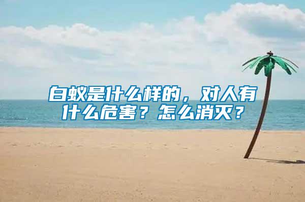 白蟻是什么樣的，對(duì)人有什么危害？怎么消滅？