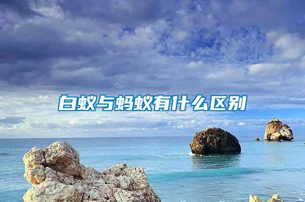 白蟻與螞蟻有什么區(qū)別