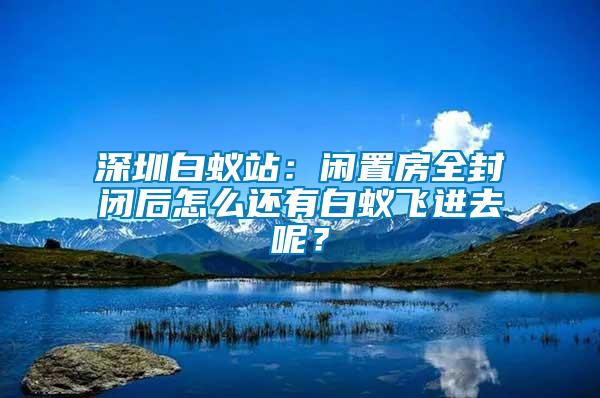 深圳白蟻站：閑置房全封閉后怎么還有白蟻飛進去呢？