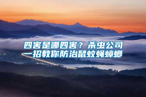 四害是哪四害？殺蟲公司一招教你防治鼠蚊蠅蟑螂