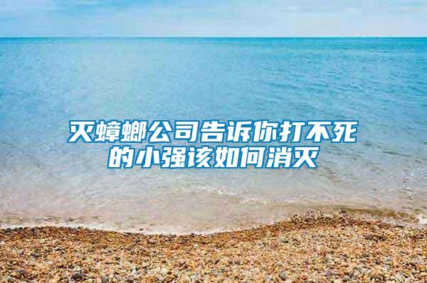 滅蟑螂公司告訴你打不死的小強(qiáng)該如何消滅