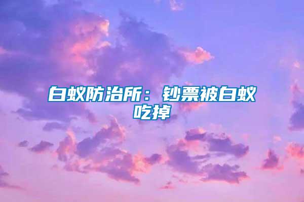 白蟻防治所：鈔票被白蟻吃掉