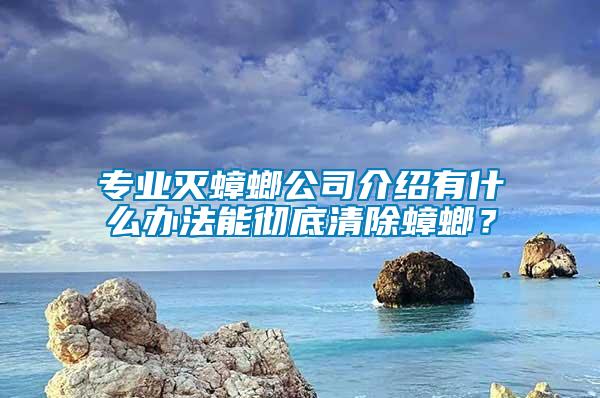 專業(yè)滅蟑螂公司介紹有什么辦法能徹底清除蟑螂？