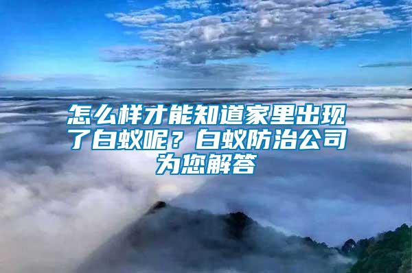 怎么樣才能知道家里出現(xiàn)了白蟻呢？白蟻防治公司為您解答