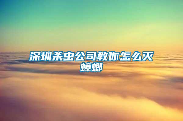 深圳殺蟲公司教你怎么滅蟑螂