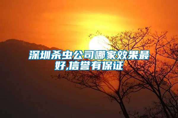 深圳殺蟲公司哪家效果最好,信譽(yù)有保證