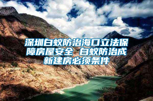 深圳白蟻防治海口立法保障房屋安全 白蟻防治成新建房必須條件