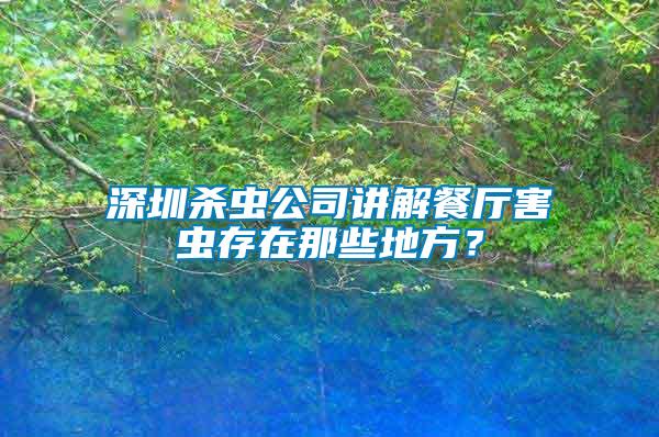 深圳殺蟲公司講解餐廳害蟲存在那些地方？