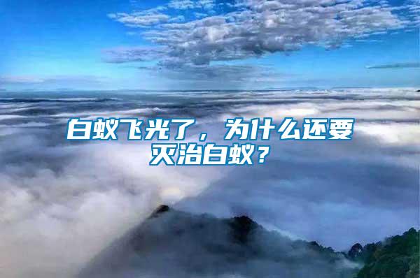 白蟻飛光了，為什么還要滅治白蟻？