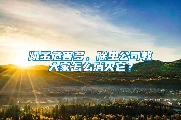 跳蚤危害多，除蟲公司教大家怎么消滅它？