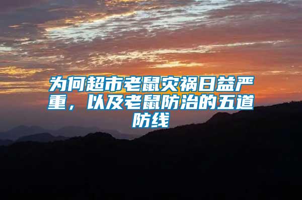 為何超市老鼠災禍日益嚴重，以及老鼠防治的五道防線