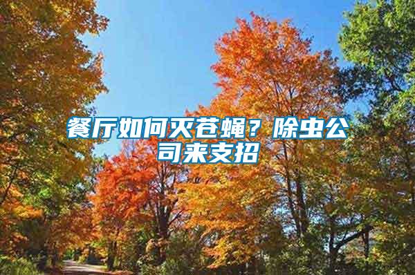 餐廳如何滅蒼蠅？除蟲公司來(lái)支招