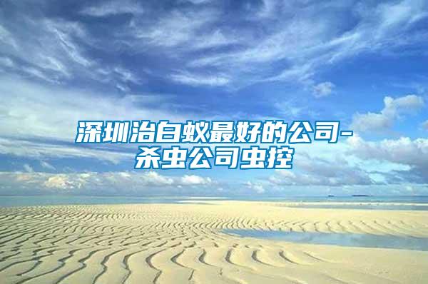 深圳治白蟻?zhàn)詈玫墓?殺蟲公司蟲控