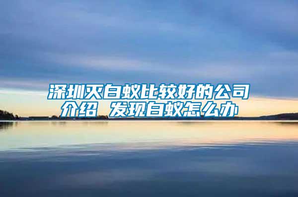 深圳滅白蟻比較好的公司介紹 發(fā)現(xiàn)白蟻怎么辦