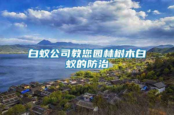 白蟻公司教您園林樹木白蟻的防治