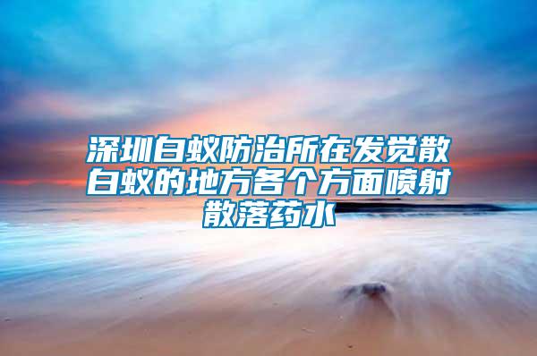 深圳白蟻防治所在發(fā)覺散白蟻的地方各個(gè)方面噴射散落藥水