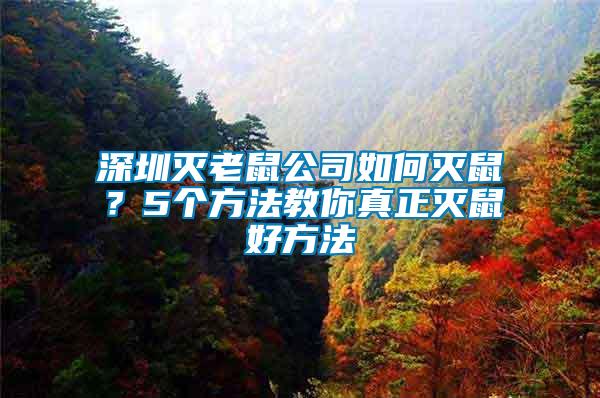 深圳滅老鼠公司如何滅鼠？5個方法教你真正滅鼠好方法