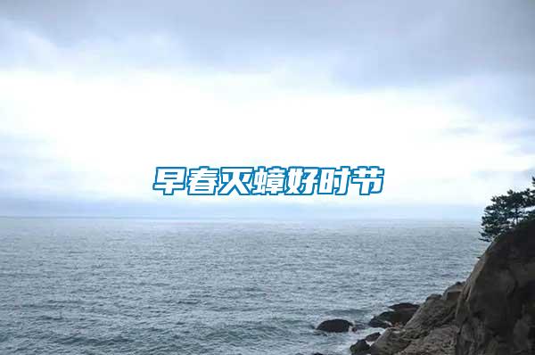 早春滅蟑好時節(jié)