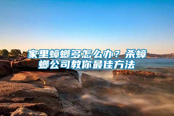 家里蟑螂多怎么辦？殺蟑螂公司教你最佳方法